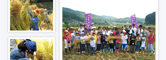 世羅田打地区（農）さわやか田打の田圃にて