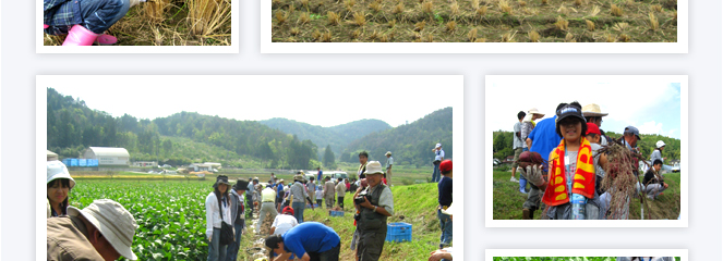 世羅田打地区（農）さわやか田打の田圃にて