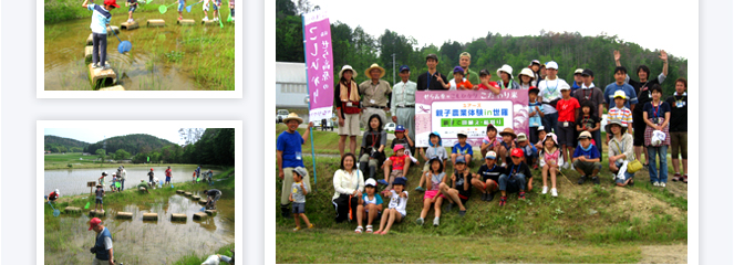 世羅田打地区（農）さわやか田打の田圃にて