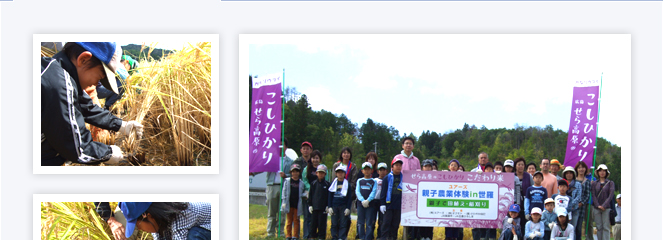 世羅田打地区（農）さわやか田打の田圃にて