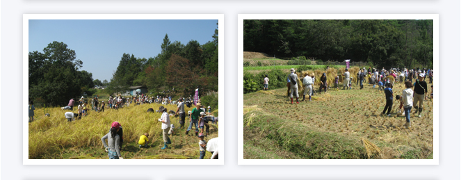 世羅黒川地区（農）マルシマ(くろがわ上谷）