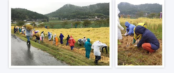 世羅田打地区（農）ユアーズ(さわやか田打）