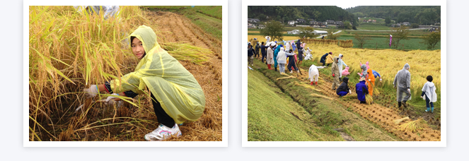 世羅田打地区（農）ユアーズ(さわやか田打）