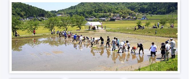 世羅田打地区（農）ユアーズ(さわやか田打）