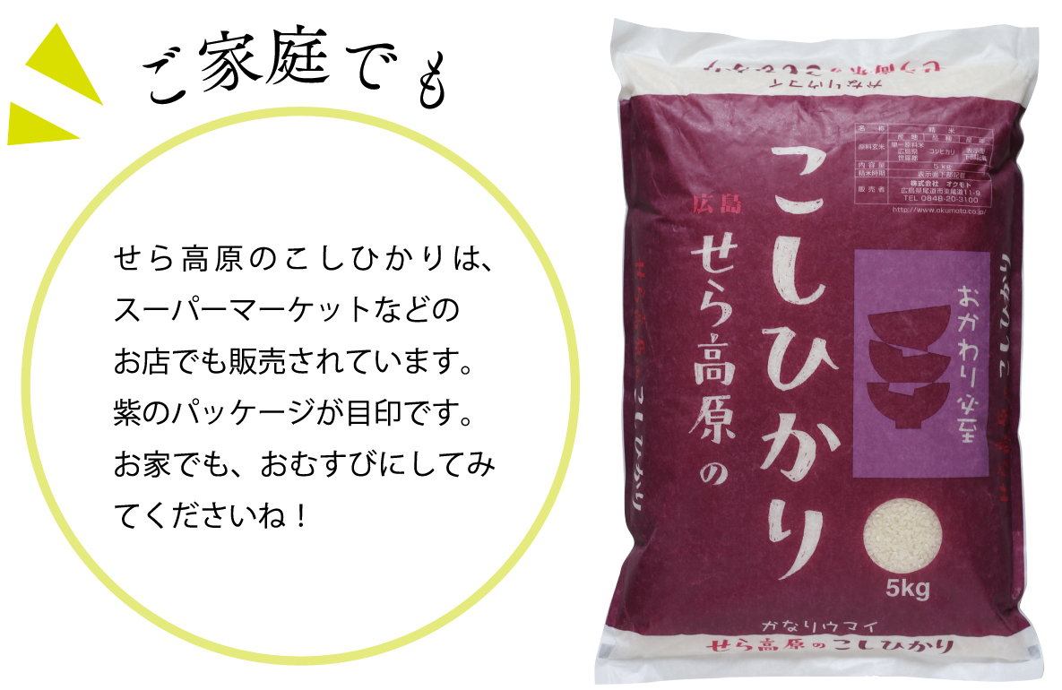 ご家庭でも　せら高原のこしひかりは、スーパーマーケットなどのお店でも販売されています。紫のパッケージが目印です。お家でも、おむすびにしてみてくださいね！